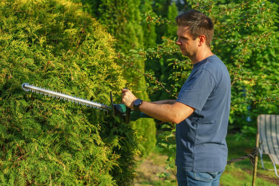 Seasonal Maintenance in Nacogdoches, TX
